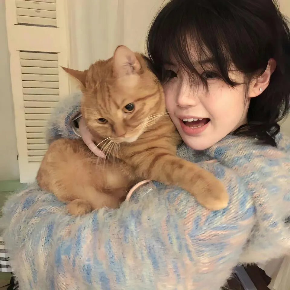 狗狗监护权